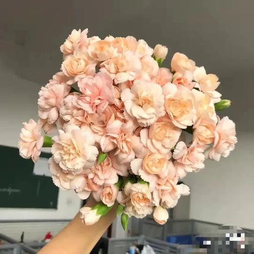 花农 多头康乃馨挑色各色都有，点击进入 商品图3