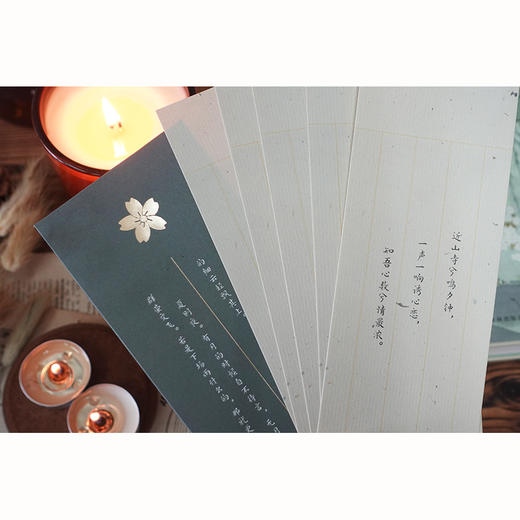 林文月译日本古典：枕草子 商品图9