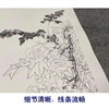 【四条屏】陈军工笔画白描底稿柿子葡萄临摹勾线花鸟线稿CJ63 商品缩略图4