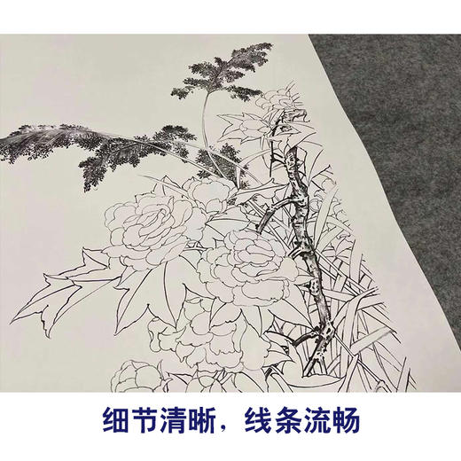 【四条屏】陈军工笔画白描底稿柿子葡萄临摹勾线花鸟线稿CJ63 商品图4