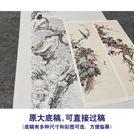 【四条屏】陈军工笔画白描底稿牡丹临摹勾线花鸟线稿CJ62 商品图1