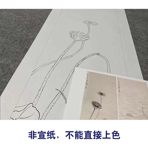 【四条屏】工笔画白描底稿荷花春夏秋冬临摹勾线花鸟线稿TP02 商品图2