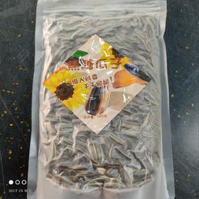 冬零 焦糖瓜子 500g