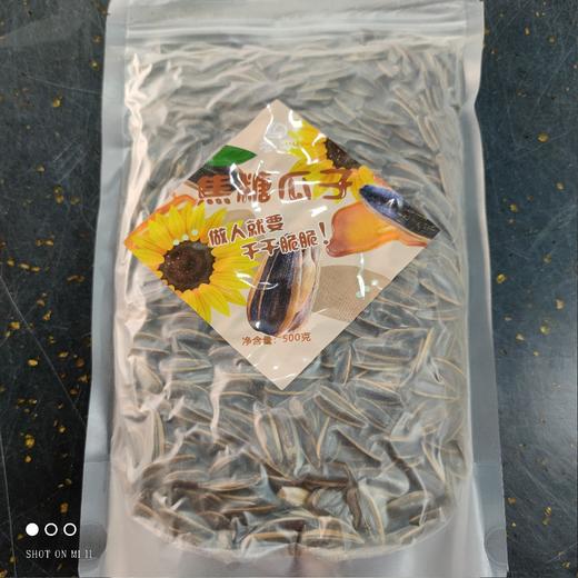 冬零 焦糖瓜子 500g 商品图0