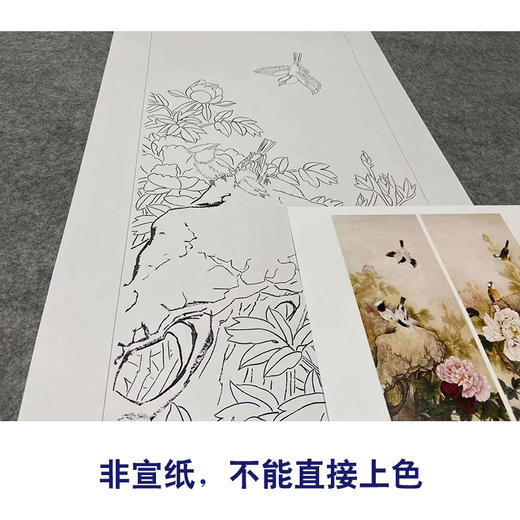 【四条屏】工笔花鸟画白描底稿牡丹临摹勾线花鸟线稿TP05 商品图2