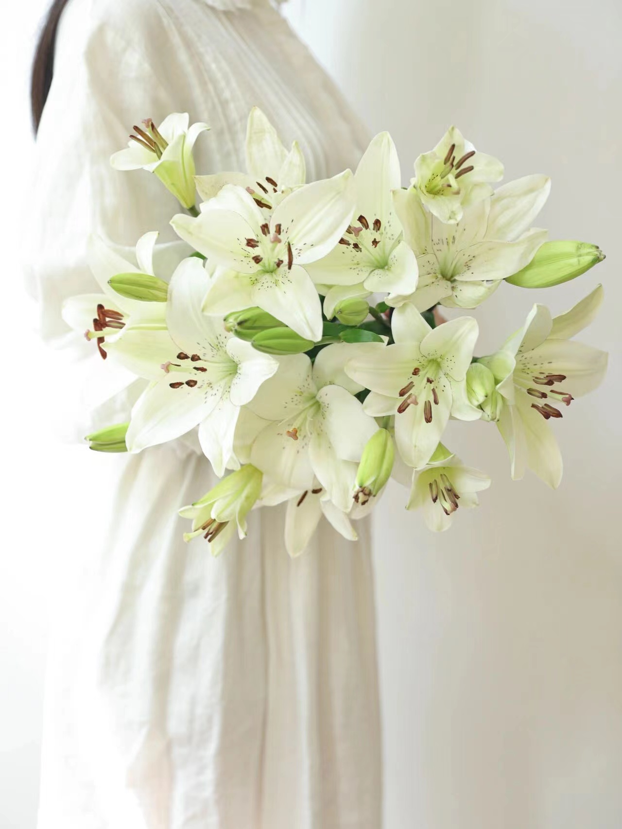 眼线百合【那些说星星亮的人，一定没有看过你的眼睛】简小姐精选 稀有网红新品白色多头亚百 眼线百合 2件包邮 下单72小时发货