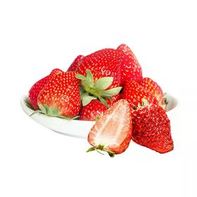 【BF】丹东草莓       约500g