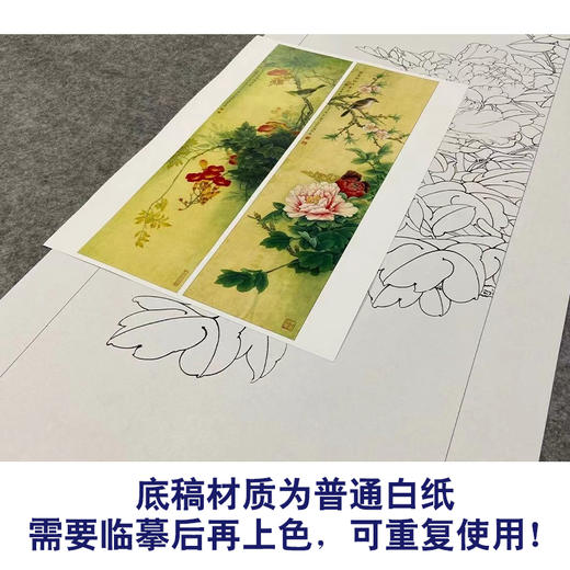【四条屏】李晓明工笔花鸟画白描底稿《花开四时》临摹勾线花鸟线稿KA31 商品图3