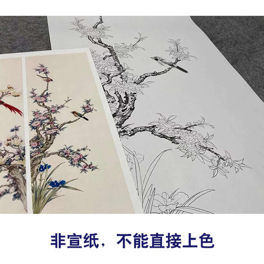 【四条屏】陈军工笔画白描稿荷花桃花临摹勾线花鸟线稿CJ60 商品图2