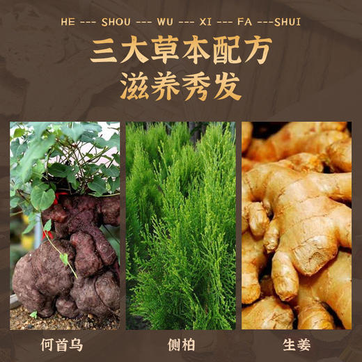 【头发一根都不许白】白云山何首乌植萃润养洗发黑发防脱洗发水国妆育发特征洗一洗蓬松丰盈黑发护发 商品图2