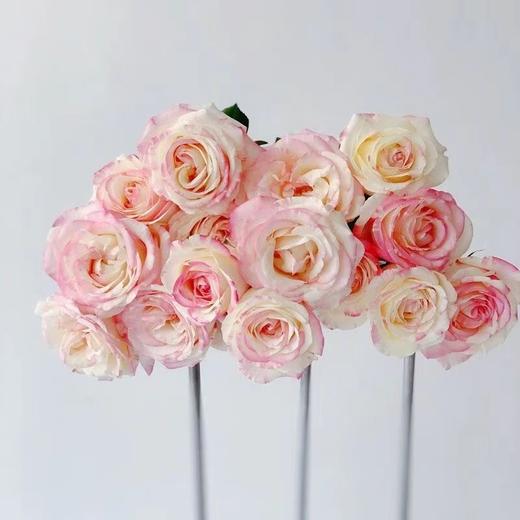 霓裳玫瑰【一曲霓裳尽，天涯同归永不离】简小姐精选 新品 玫瑰霓裳9+1枝(防花损）2件包邮 下单后3天内发货 商品图3