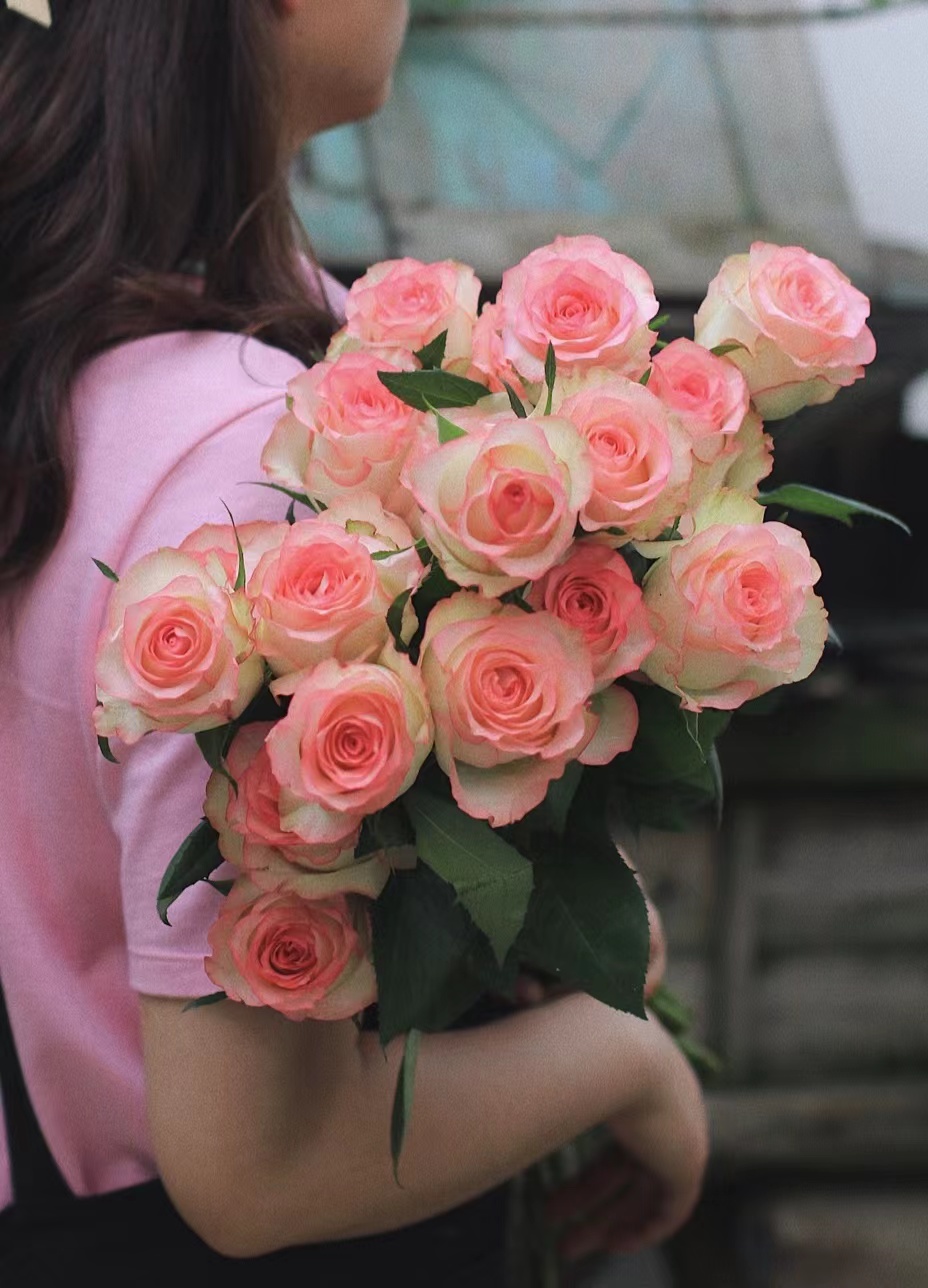 艾莎玫瑰【你生来就值得被爱，这点你无须质疑】简小姐精选 新品超稀有温柔粉色A级玫瑰 艾莎 9+1枝（防花损）2束包邮 下单48小时发货