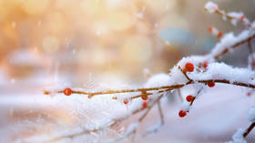 大雪｜觅一处屋暖，等一场雪来 