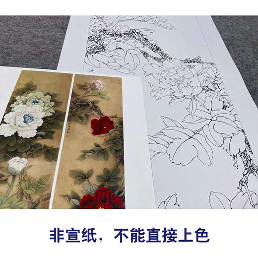 【四条屏】李晓明工笔画白描稿《福禄喜寿》牡丹临摹勾线花鸟线稿KA28 商品图2