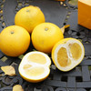 快抱第9年推荐老汪家胡柚 市面买不到的尖货 商品缩略图0
