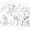 恽寿平没骨工笔花鸟画白描底稿瓯香馆写生小品一套十幅册页尺寸30×37厘米SP90 商品缩略图1