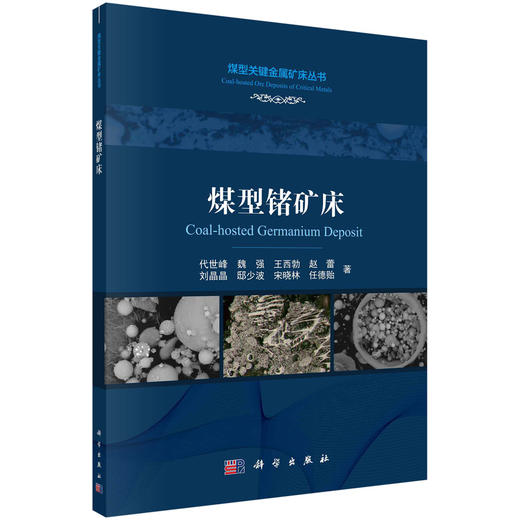 煤型锗矿床/代世峰等 商品图0