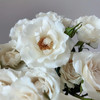 肯尼亚进口花材White majolika白玛卡多头玫瑰花12支 商品缩略图1