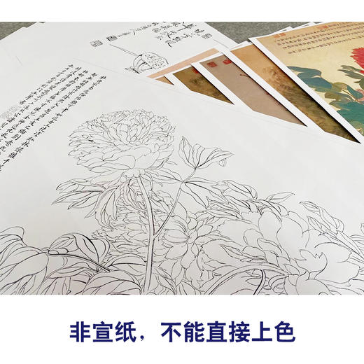 恽寿平没骨工笔花鸟画白描底稿花卉册页小品一套十幅册页尺寸33×50厘米SP93 商品图3