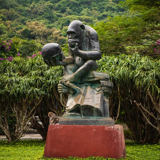 海南三亚·南湾猴岛包车一日游(纯玩2人精致小团+专属司导+一龄接送） 商品图2