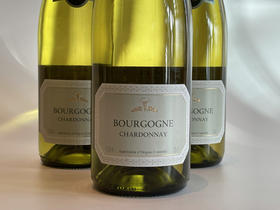 拉夏布利斯恩尼酒庄霞多丽白葡萄酒2019 Bourgogne Chardonnay white La Chablisienne