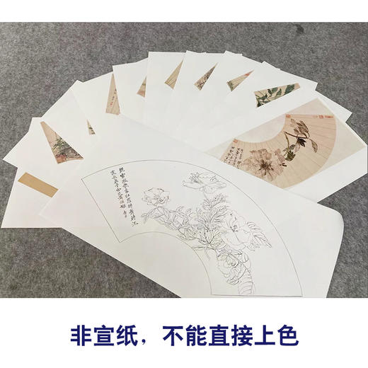 恽寿平工笔花鸟画白描底稿牡丹竹树扇面小品一套十幅册页初学者尺寸55*26厘米SP91 商品图2