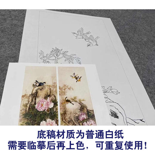 【四条屏】工笔花鸟画白描底稿牡丹临摹勾线花鸟线稿TP05 商品图3