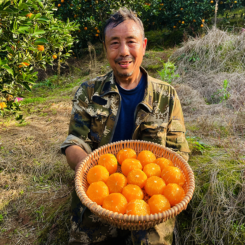 【助农】助力湖南冰糖橙走出大山，香甜可口，清爽多汁~