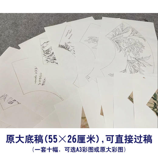 恽寿平工笔花鸟画白描底稿牡丹竹树扇面小品一套十幅册页初学者尺寸55*26厘米SP91 商品图1