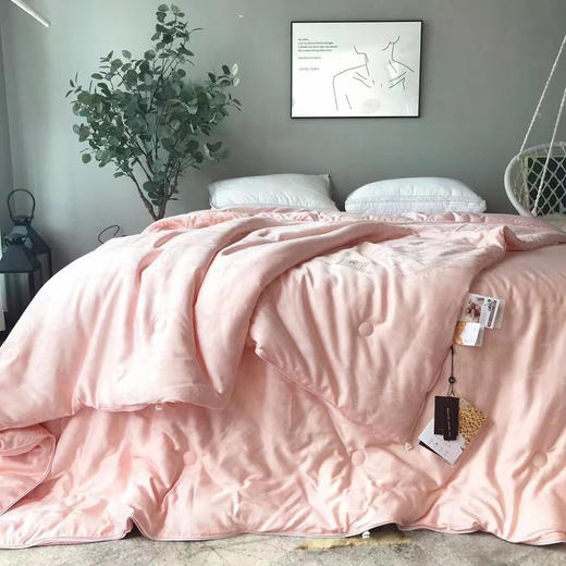 LSN3648  子母大豆被 商品图4