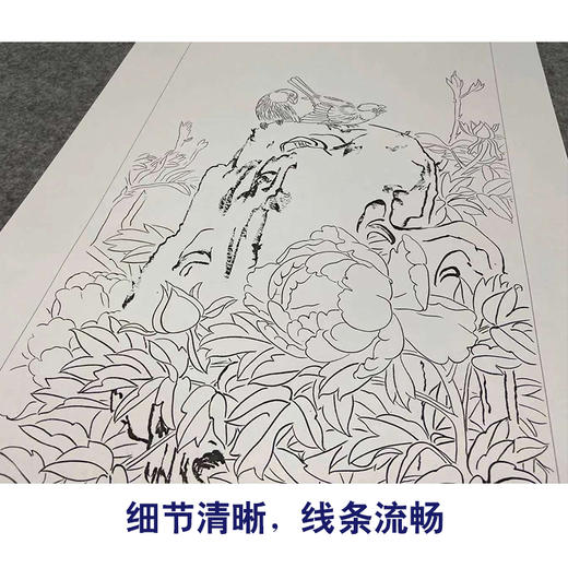 【四条屏】工笔花鸟画白描底稿牡丹临摹勾线花鸟线稿TP05 商品图4