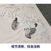 【四条屏】陈军工笔画白描稿荷花桃花临摹勾线花鸟线稿CJ60 商品缩略图4