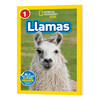 美国国家地理分级阅读读物 羊驼 英文原版 National Geographic Kids Readers L1 Llamas 动物科普百科 英文版 进口书 商品缩略图0