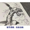 【四条屏】陈军工笔画白描底稿桃树黄鹂临摹勾线花鸟线稿CJ61 商品缩略图4