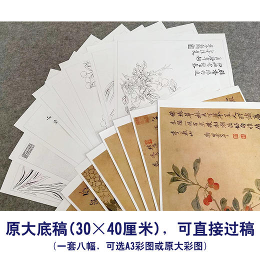 恽寿平没骨工笔花鸟画白描底稿花卉册页小品一套八幅册页尺寸30×40厘米SP94 商品图4