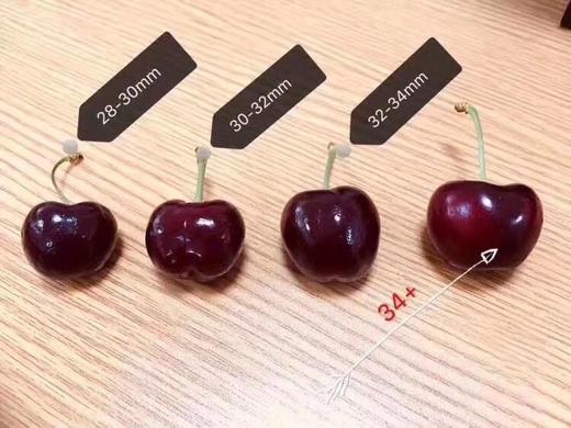 澳洲 新鲜车厘子4斤进口大樱桃时令水果，顺丰包邮 商品图5