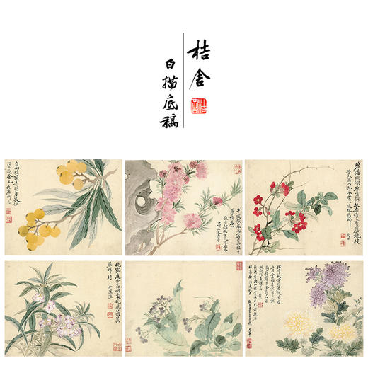 恽寿平没骨工笔花鸟画白描底稿瓯香馆写生小品一套十幅册页尺寸30×37厘米SP90 商品图0