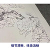 【四条屏】李晓明工笔花鸟画白描稿牡丹《富贵蝶来》临摹勾线花鸟线稿KA29 商品缩略图4