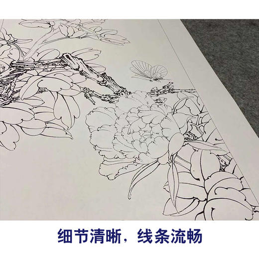 【四条屏】李晓明工笔花鸟画白描稿牡丹《富贵蝶来》临摹勾线花鸟线稿KA29 商品图4