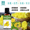有机月见草油 （晚樱草） 舒缓敏感 修复肌肤 滋润保湿 商品缩略图2
