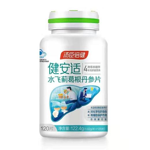 汤臣倍健水飞蓟葛根丹参片 120片/盒 商品图1