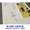 【四条屏】李晓明工笔花鸟画白描底稿《花开四时》临摹勾线花鸟线稿KA31 商品缩略图1