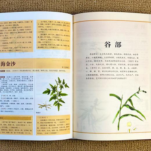 本草纲目 布面精装 彩图珍藏版 美绘国学系列 李时珍 原著全套白话版无删减本草纲目彩图版 中医养生入门书籍 商品图3