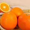 有机赣南脐橙 商品缩略图2