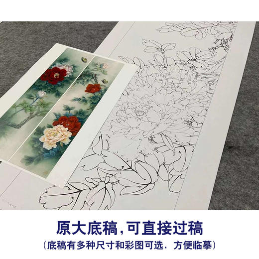 【四条屏】李晓明工笔花鸟画白描稿牡丹《富贵蝶来》临摹勾线花鸟线稿KA29 商品图1