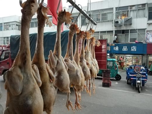 【助农】咸鸡老母鸡（生肉）（普通快递） 商品图0