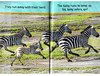 美国国家地理入门级 斑马 英文原版 National Geographic Kids pre-Readers A Zebra's Day 科普百科 英文版进口英语书籍 商品缩略图2