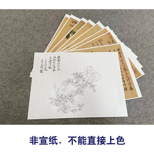恽寿平没骨工笔花鸟画白描底稿花卉册页小品一套八幅册页尺寸30×40厘米SP94 商品图2