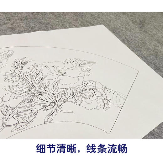 恽寿平工笔花鸟画白描底稿牡丹竹树扇面小品一套十幅册页初学者尺寸55*26厘米SP91 商品图3