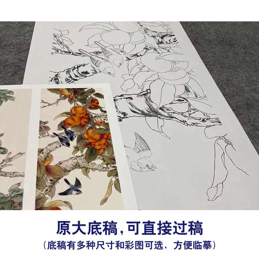 【四条屏】陈军工笔画白描底稿桃花桃枝柿子临摹勾线花鸟线稿CJ66 商品图1